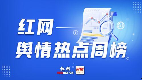 新闻和爆料,最新爆料揭示惊天新闻背后真相！”